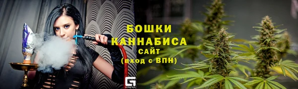молекула духа Новозыбков