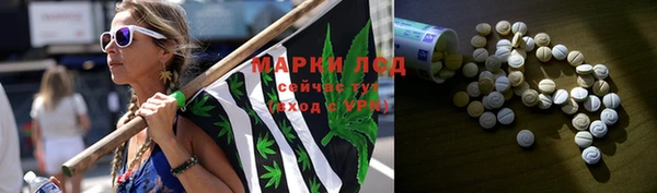 молекула духа Новозыбков