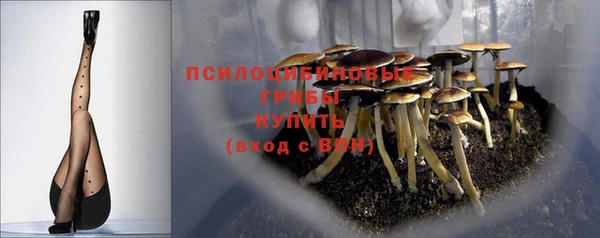 молекула духа Новозыбков