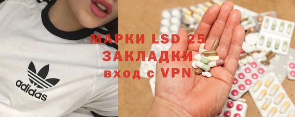 молекула духа Новозыбков