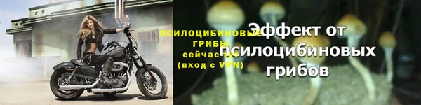 молекула духа Новозыбков