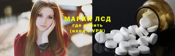 молекула духа Новозыбков