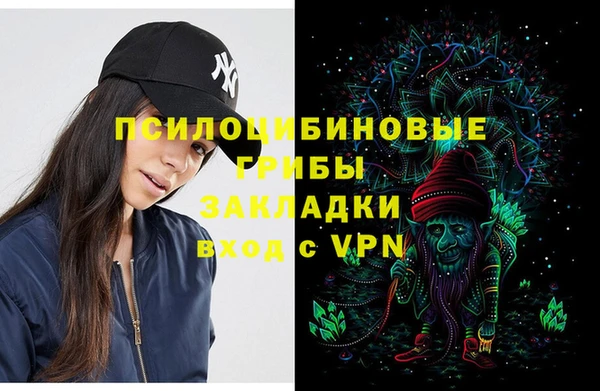 сатива Нягань