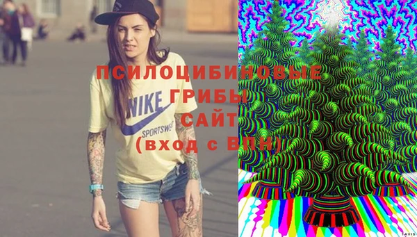 мяу мяу кристалл Няндома