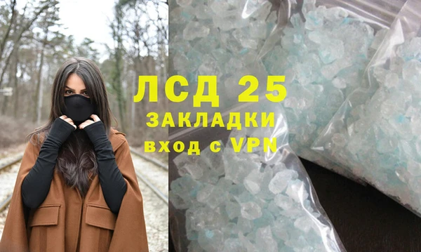 молекула духа Новозыбков