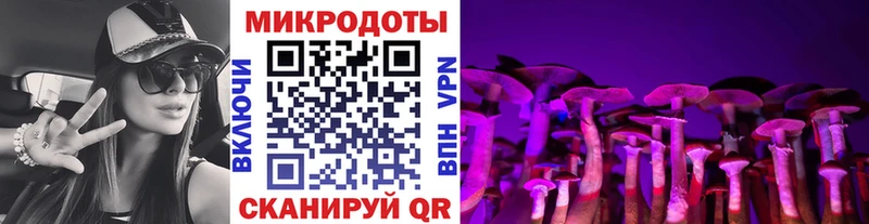 Псилоцибиновые грибы прущие грибы Рязань
