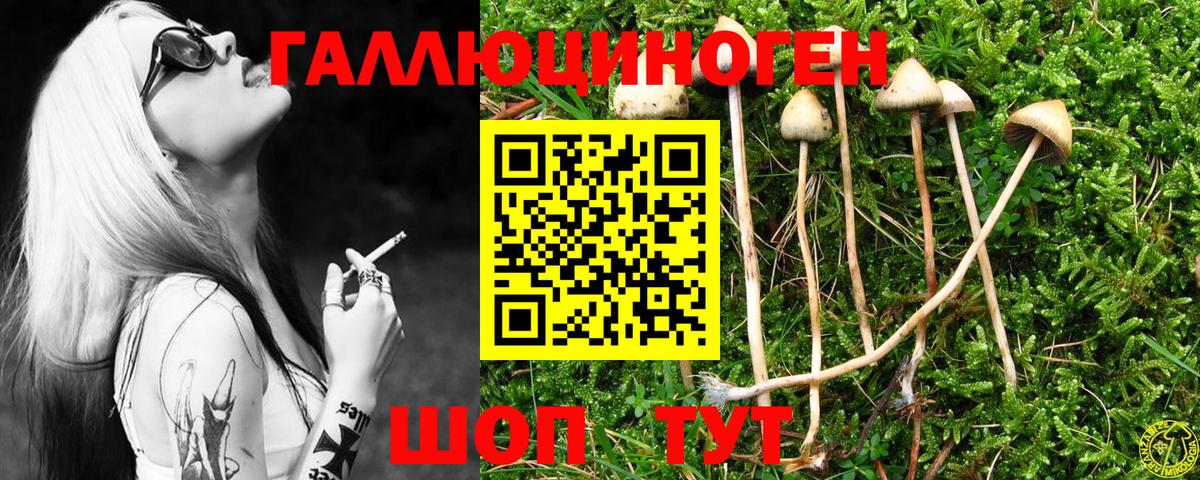 Рязань  ГАШ  ГАШИШ  COCAIN  МЕФ кристаллы  Вход с VPN  Канабис 
