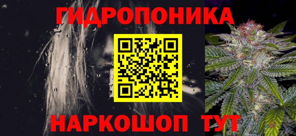 Бошки марихуана план  Каннабис конопля  Рязань  Вход с VPN  Марихуана план  Шишки марихуана конопля 